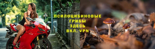 эйфоретик Балахна