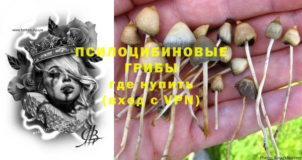 эйфоретик Балахна